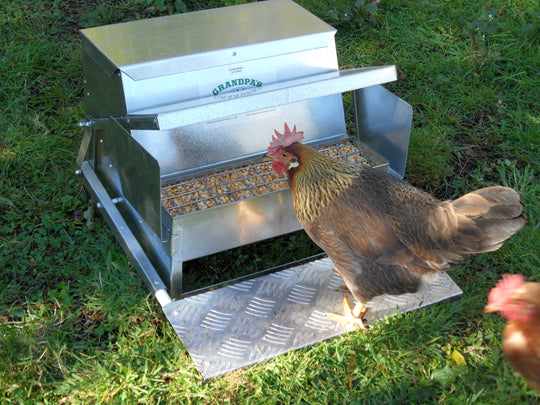 Grandpas Standard Automatic Feeder