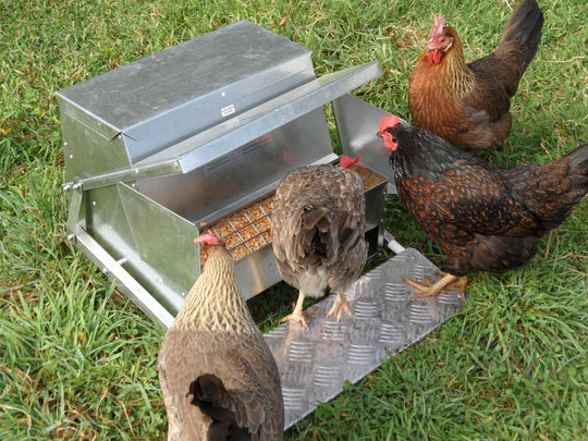 Grandpas Standard Automatic Feeder