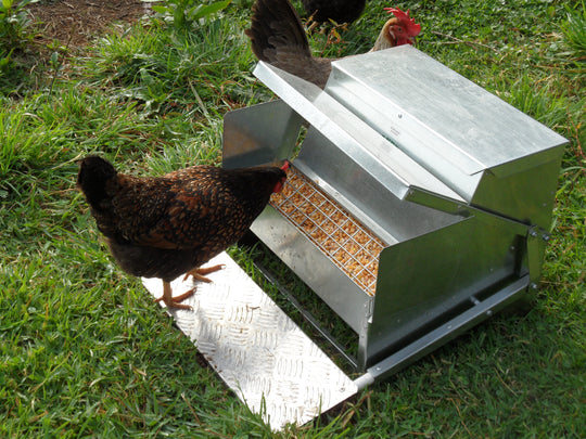 Grandpas Standard Automatic Feeder