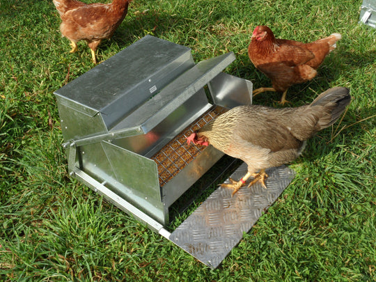 Grandpas Standard Automatic Feeder